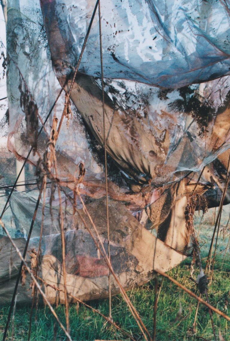 Caro Campo. Diario di lavoro © Alberonero