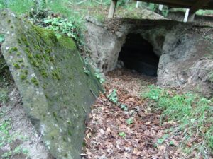 La necropoli etrusca “segreta” alle porte di Orvieto. Il progetto per renderla visitabile