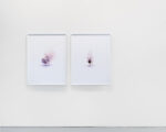 Daniele Di Girolamo, How to Be Weather, 2023, stampa a getto d’inchiostro su carta, cornice di legno bianca, 120 x 90 cm. Courtesy of the artist and Traffic Gallery. Photo Nicola Morittu