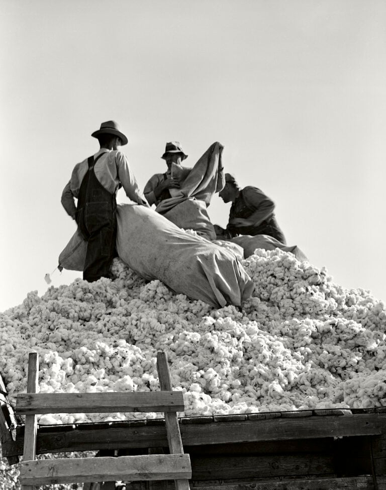 Dorothea Lange, Caricamento del cotone, San Joaquin Valley, California, 1936