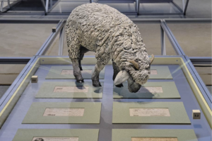 La mostra dei superdesigner Formafantasma a Oslo esplora il rapporto tra l’uomo e la pecora