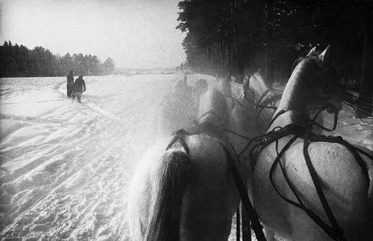 Inge Morath, Piatnika, una slitta trainata da cinque cavalli, 1965