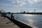 Le Havre. Il porto © Photo Dario Bragaglia