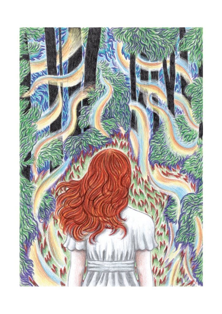 Liuba Gabriele – Emily Dickinson (BeccoGiallo, Padova 2023)