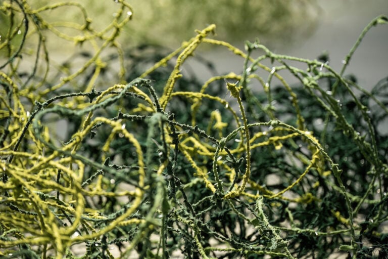 Lungiswa Gqunta, Tending to the harvest of dreams (Curare il raccolto dei sogni), 2021. Courtesy Museum MMK fur Moderne Kunst, Frankfurt. Photo Giorgio Perottino