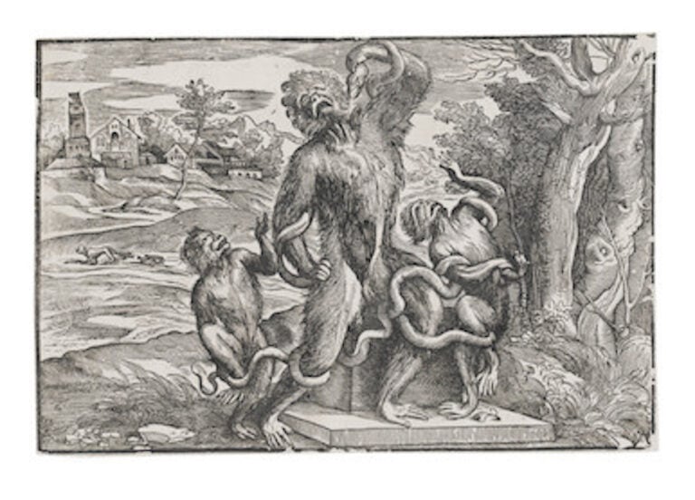 Niccolò Boldrini, Caricatura della copia del Laocoonte ca. 1540–1545