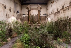 La chiesa di Roma trasformata in giungla incantata da un artista