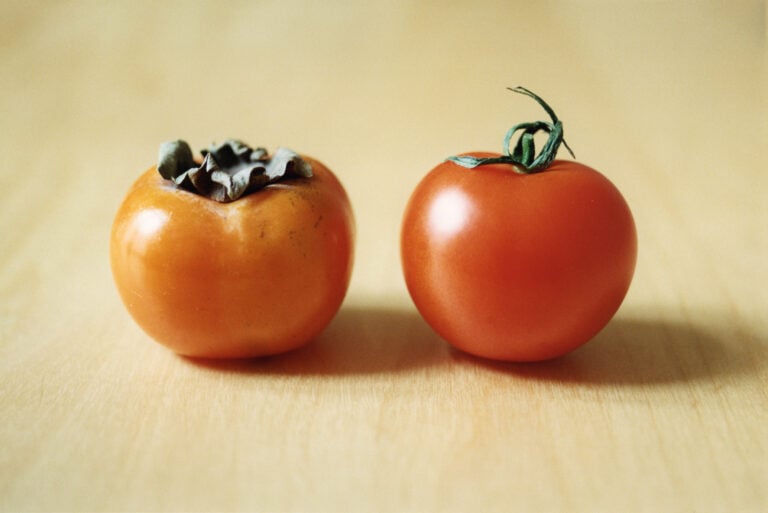 Shimabuku, Kaki and Tomato, 2008, Private Collection, © Shimabuku