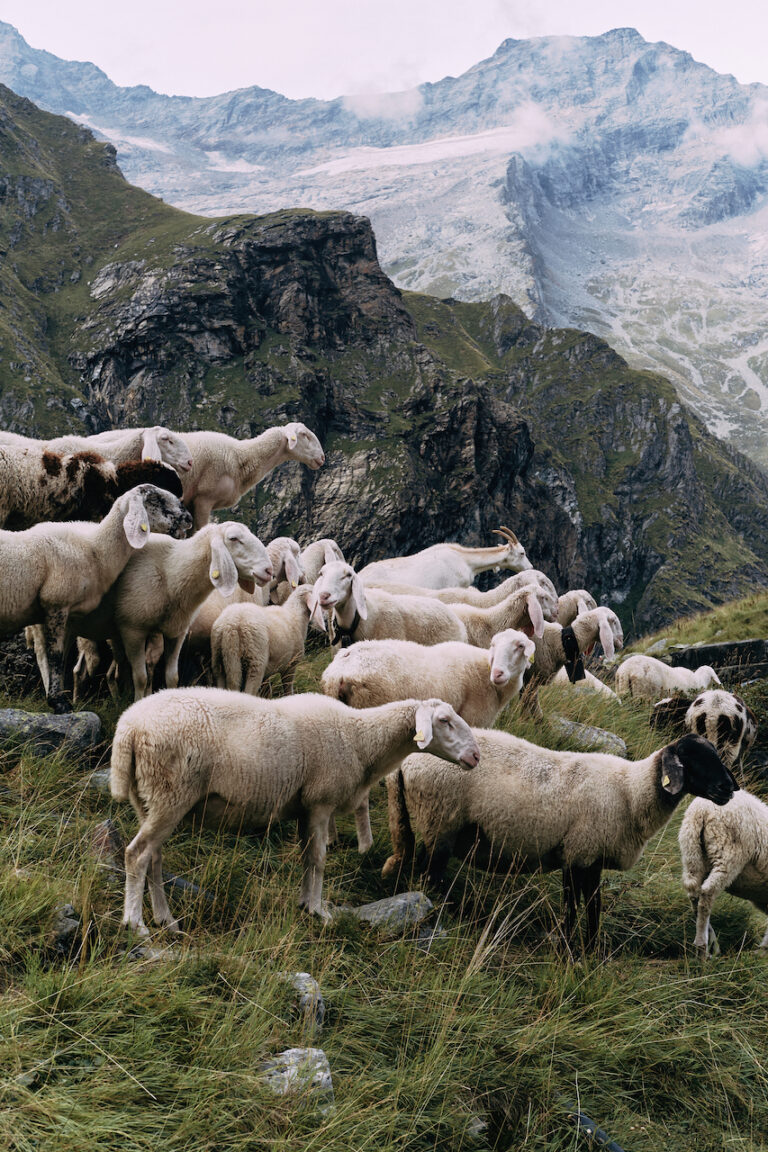 Val Seissa, Photo © Gregorio Gonella