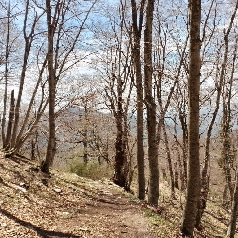 Casa Appennino