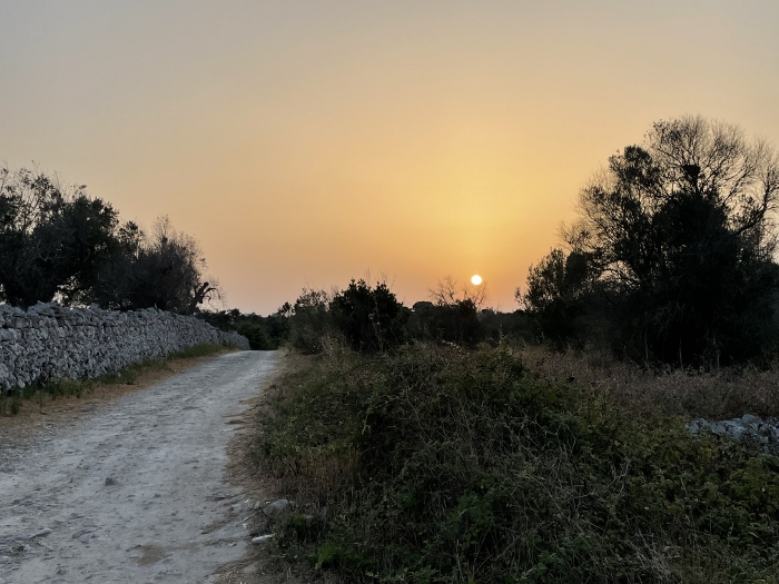 Ultimi Fuochi Festival – Prima che sia notte