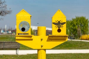 Gli Alveari Urbani evolvono: dall’Apiario d’artista al libro sulle api e l’arte