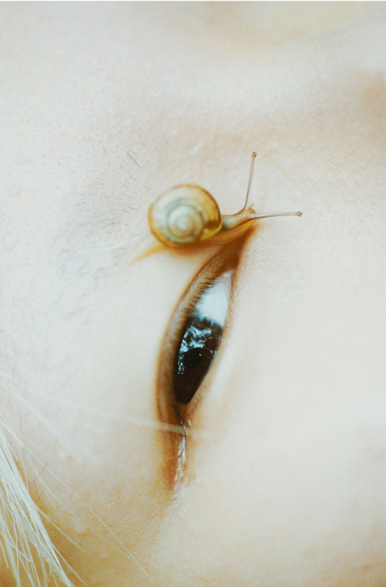 Arianna Lago, Sans eye with snail
