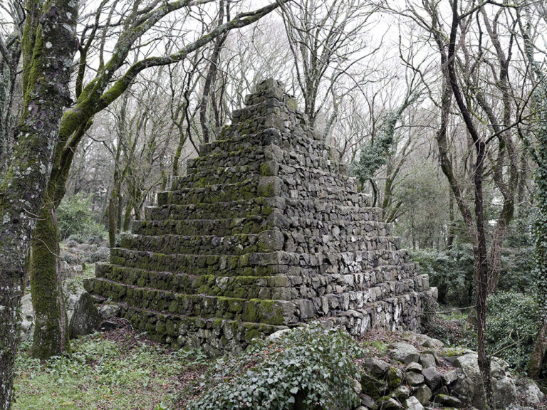 Bosco Isabella Radicofani, Toscana. Photo Silvia Camporesi