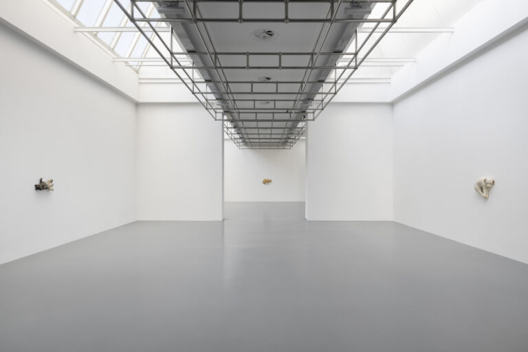 Diego Marcon. Glassa, Installation View, Centro per l’arte contemporanea Luigi Pecci. Ph. Andrea Rossetti