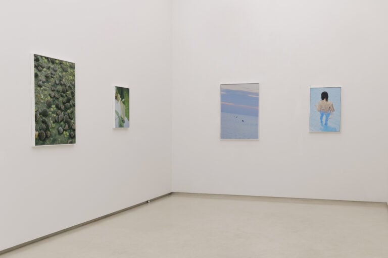 Arianna Lago, Surrender, installazione View at Tempesta Gallery, Milano, 2023
