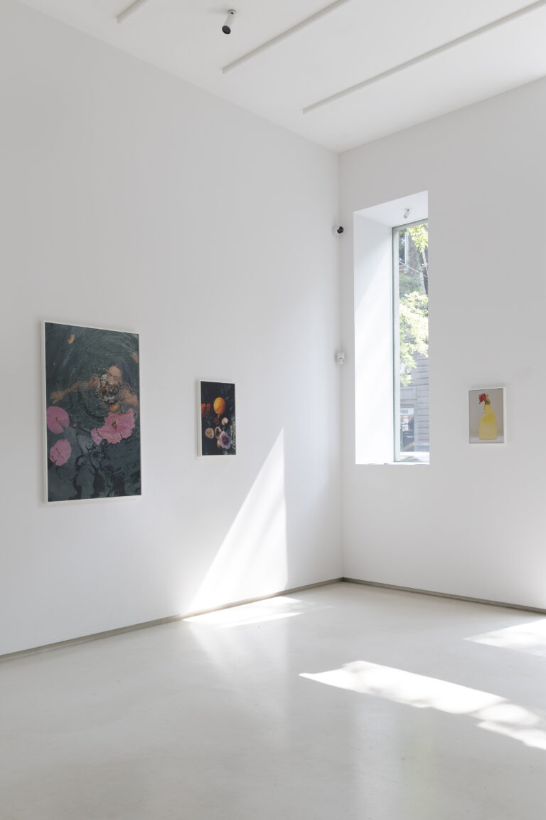 Arianna Lago, Surrender, installazione View at Tempesta Gallery, Milano, 2023
