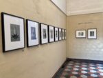 Lake Como Design Festival Between Art and Nature A lezione dalla natura al festival del design del Lago di Como