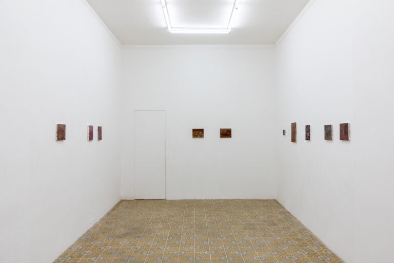 Marta Ravasi, Bucce, installation view at Galleria Acappella, Napoli, 2023. Photo © Danilo Donzelli Photography