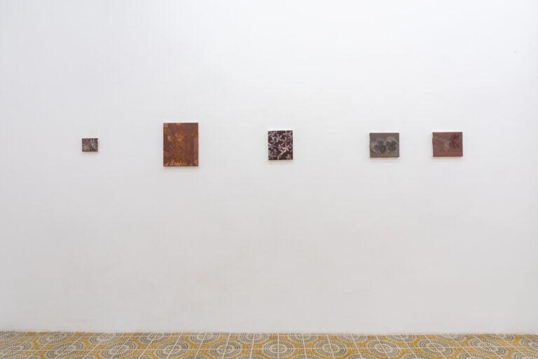 Marta Ravasi, Bucce, installation view at Galleria Acappella, Napoli, 2023. Photo © Danilo Donzelli Photography