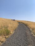 Paesaggio dell'Etna. Photo Claudia Zanfi