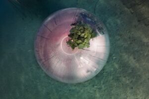 Luca Locatelli - The Circle