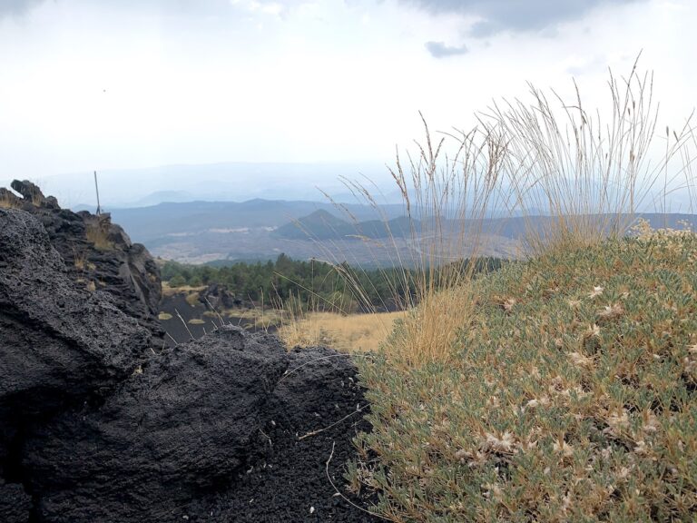 Paesaggio dell'Etna, Sicilia, 2023. Photo Claudia Zanfi