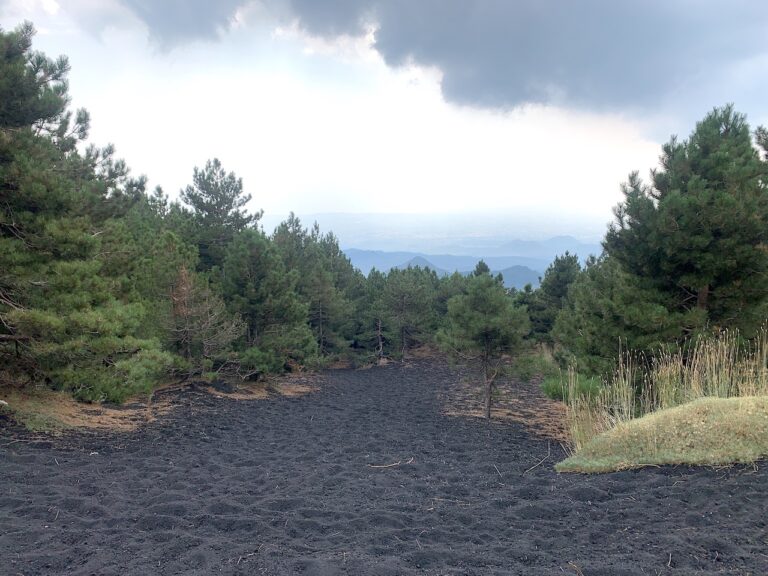 Paesaggio dell'Etna, Sicilia, 2023. Photo Claudia Zanfi