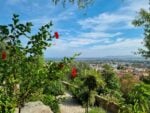 Photo Dario Bragaglia. Vista di Hyères dal giardino di Villa Noailles