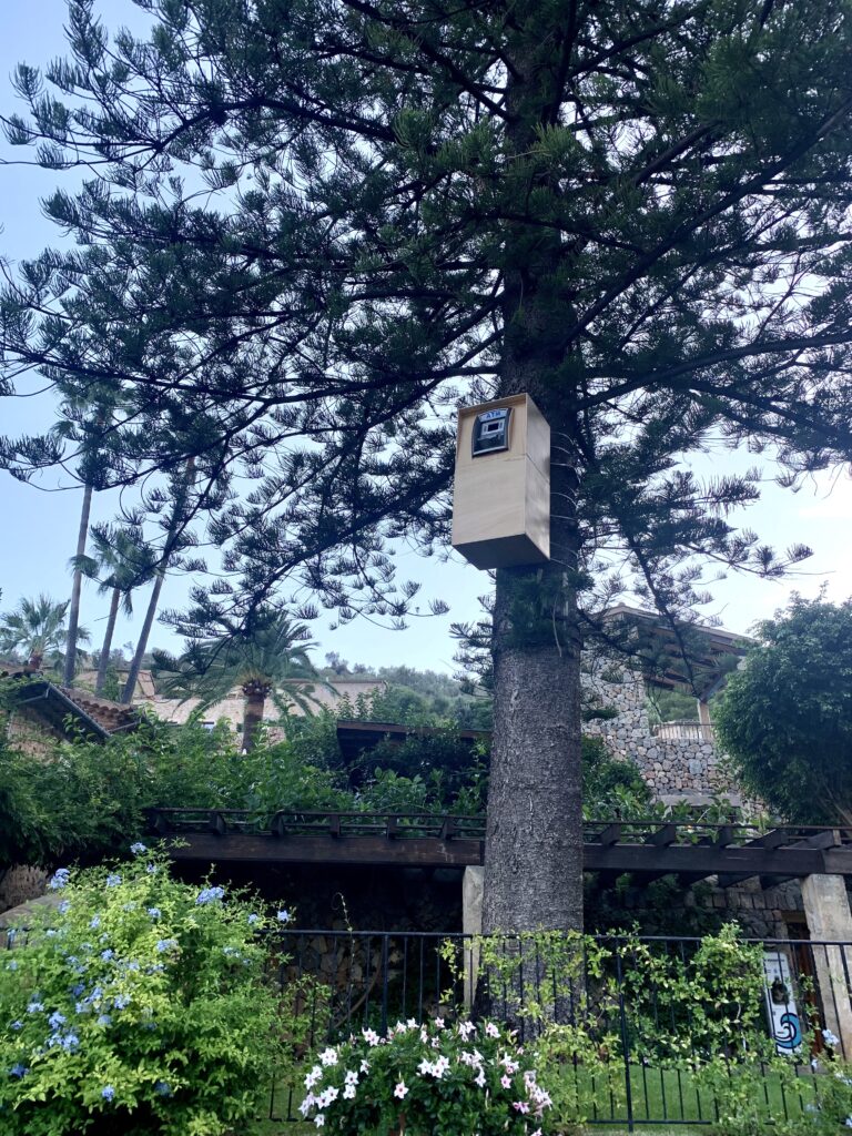 Sislej Xhafa, Blue Blossom, installation view at Mallorca. Courtesy the artist and GALLERIA CONTINUA