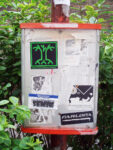 Stelleconfuse, Il primo Sticker Plant a Tree, Firenze, 2008