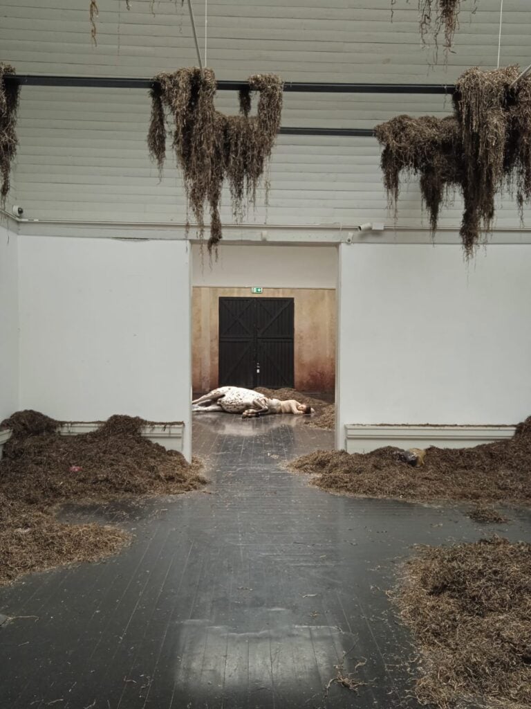 Uffe Isolotto, We Walked the Earth, Biennale Arte di Venezia, 2022, Padiglione Danimarca