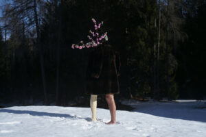 Monica Smaniotto / Stefano Pradel - (in)sight