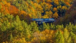 A ottobre riparte il treno del foliage. Il video
