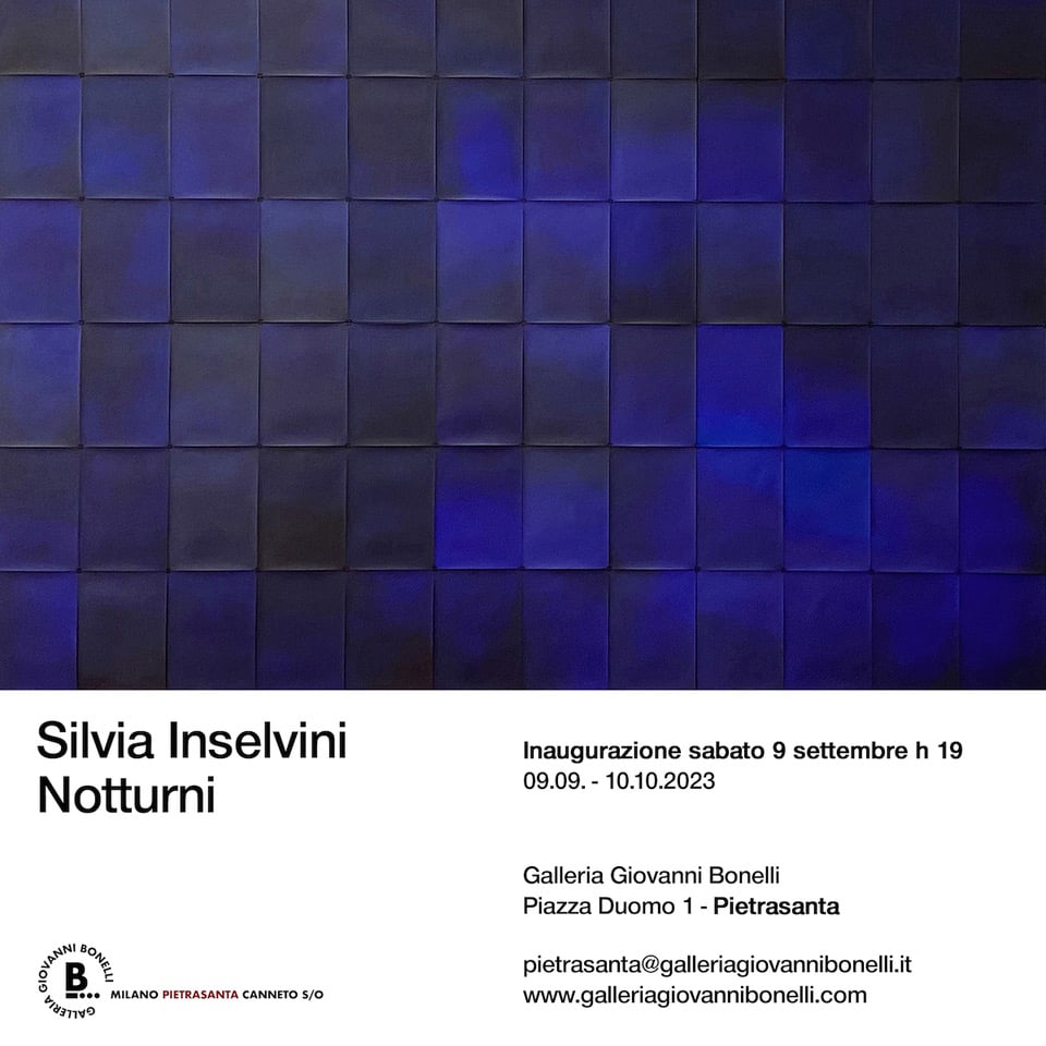 Silvia Inselvini – Notturni