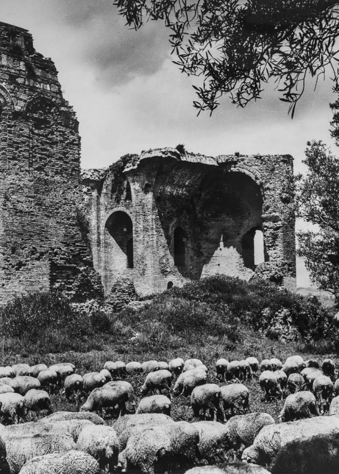 10 Emilia Zinzi Moscariello Basilica di Santa Maria della Roccella di Roccelletta di Borgia Fondo Emilia Zinzi Archivio fotografico Biblioteca di Area Umanistica F.E. Fagiani Unical Archivi Aperti 2023. Guida a musei, fondazioni, studi di fotografia che aprono in Italia