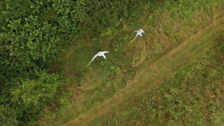 Anouk Chambaz & Julija Paskeviciute, Vegetation Walk, 2016, video, 7’. Courtesy gli artisti