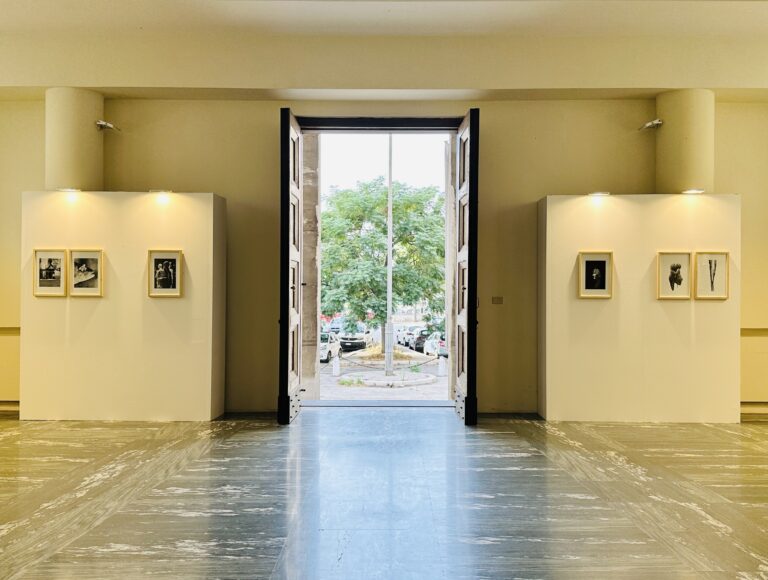 Irene Pucci, Isola, installation view at Casa del Mutilato, Bari, 2023