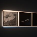 Marco Schiavone per Desiderio, Société Interludio, Torino, 2023