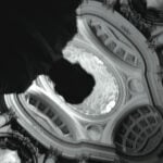 Paolo Portoghesi, Francesco Borromini, Chiesa di San Carlino alle Quattro Fontane, Roma