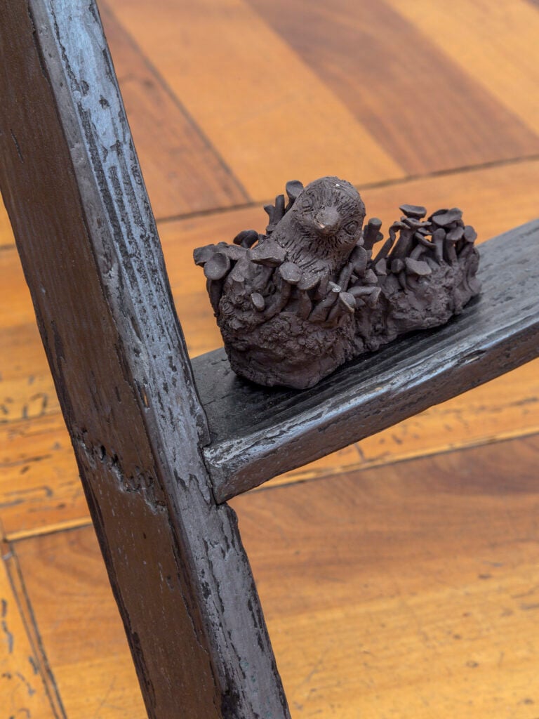 SIMBIOSI. Le interconnesse trame dei funghi, 2023, installation view at Galleria Peola Simondi, Torino