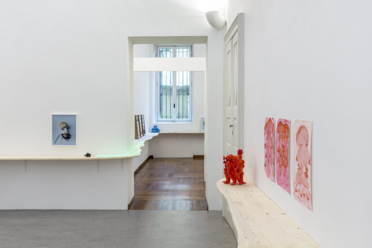 SIMBIOSI. Le interconnesse trame dei funghi, 2023, installation view at Galleria Peola Simondi, Torino