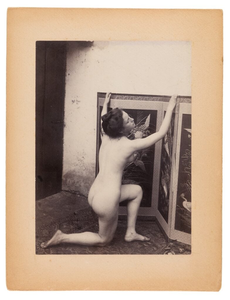 La collezione fotografica dell’Accademia Albertina. 1860-1930