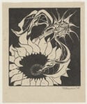 Escher, Sunflowers