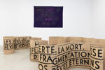 Delphine Coindet, Autofriction, installation view at Pasquart Bienne, 2023. Photo Julien Greimaud