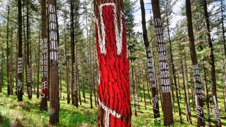 El Bosque de Oma. Courtesy Diputación Foral de Bizkaia