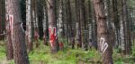 El Bosque de Oma. Courtesy Diputación Foral de Bizkaia