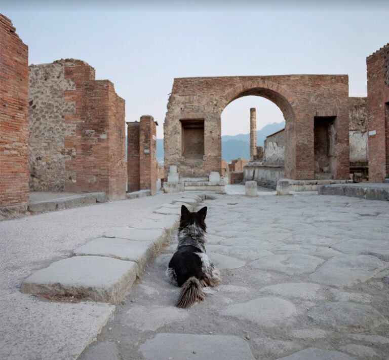 Elena Mazzi, La Scuola di Pompei, 2019