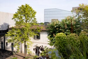 Gli studi sulla natura urbana che circonda la Fondazione Prada di Milano