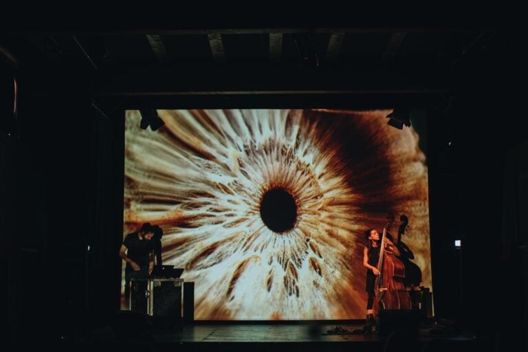 Fotonica Festival, Roma. Kanaka e Caterina Palazzi, Aneurysm